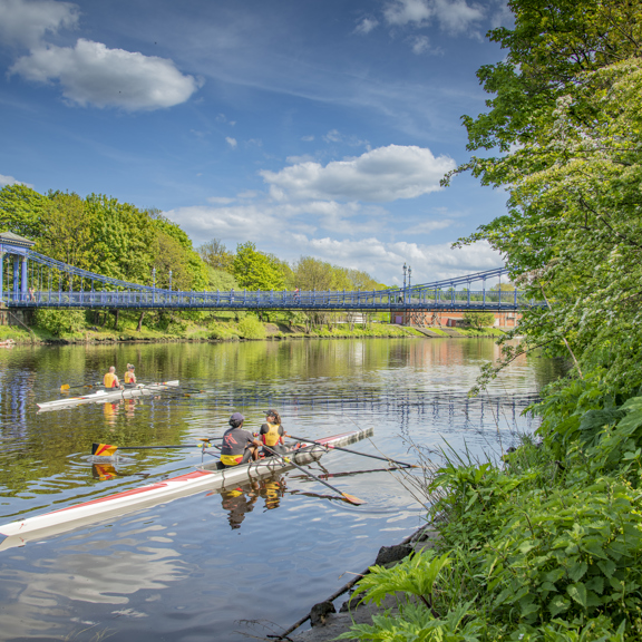 Sunny view of 4 rowers on 2 double sculls on the tree-lined River Clyde with the blue St Andrew's suspension footbridge in the background